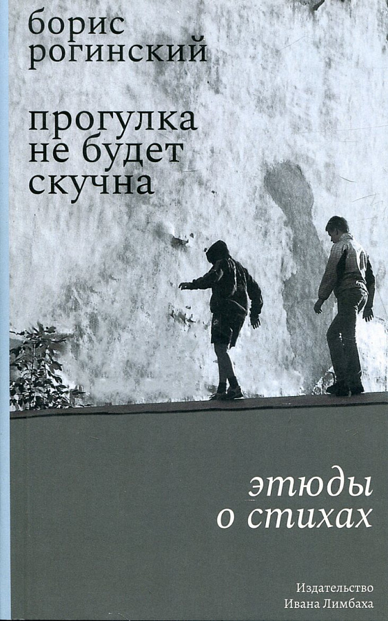 Прогулка не будет скучна: Этюды о стихах